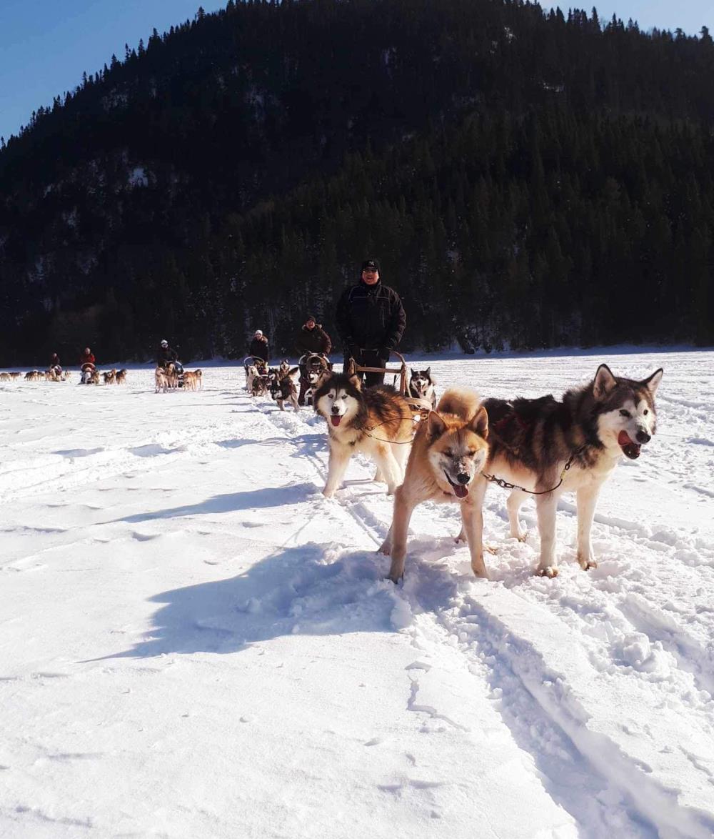Traîneau à chiens Saguenay-Lac-Saint-Jean